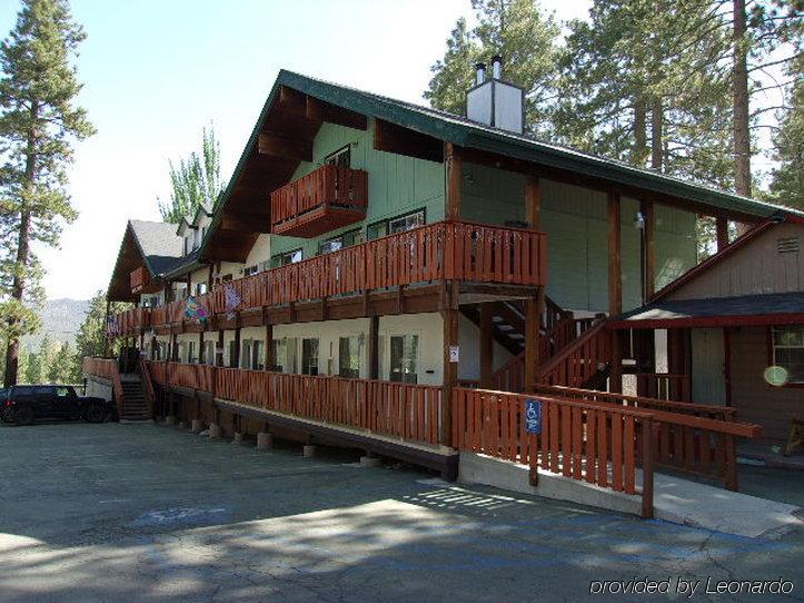 Honey Bear Lodge & Cabins Биг Беър Лейк Екстериор снимка